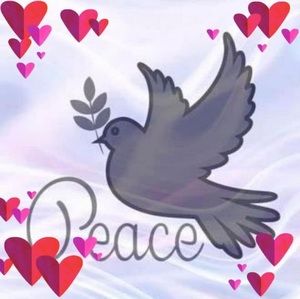 Meet your Posher, Robin davis